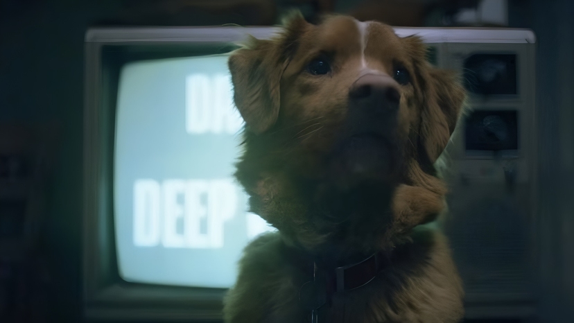 Good Boy: El perro que no salvó a nadie (ni a sí mismo)