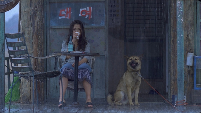 La isla: Kim Ki-duk y el cine como cuchillo oxidado en la garganta