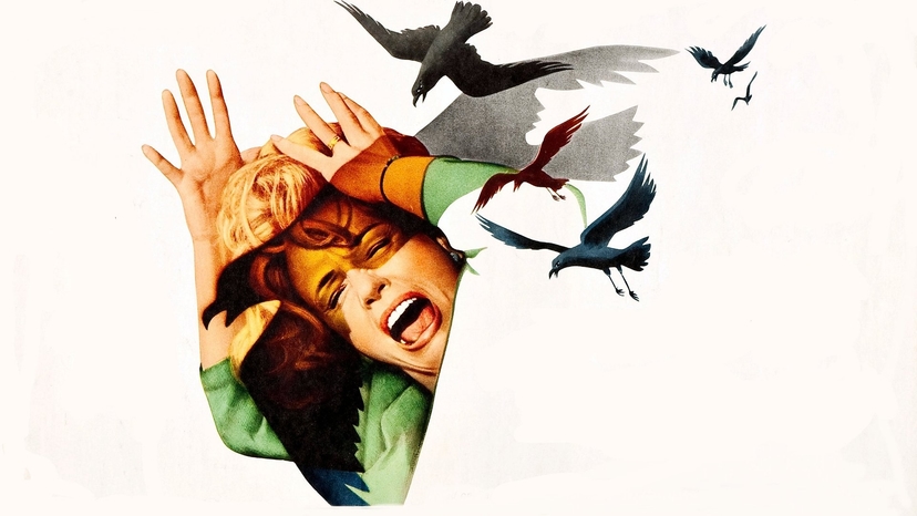 Los pájaros: Cuando el cielo se volvió un matadero de plumas y psicosis